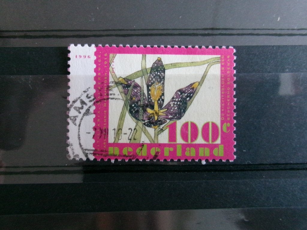 1996 - kievitsbloem (558a), Ophalen of Verzenden, Gestempeld