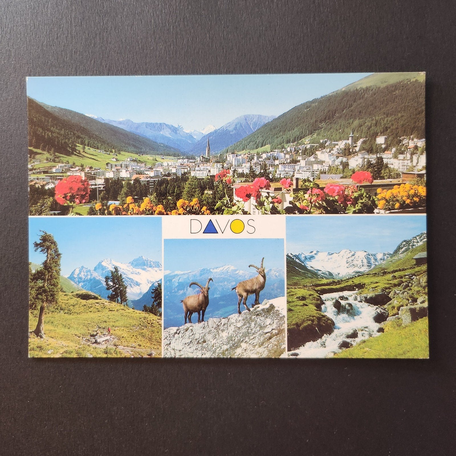 Ansichtkaart Davos Zwitserland - Bergen, Steenbokken, Rivier, Verzamelen, Ansichtkaarten | Buitenland, Verzenden, 1980 tot heden