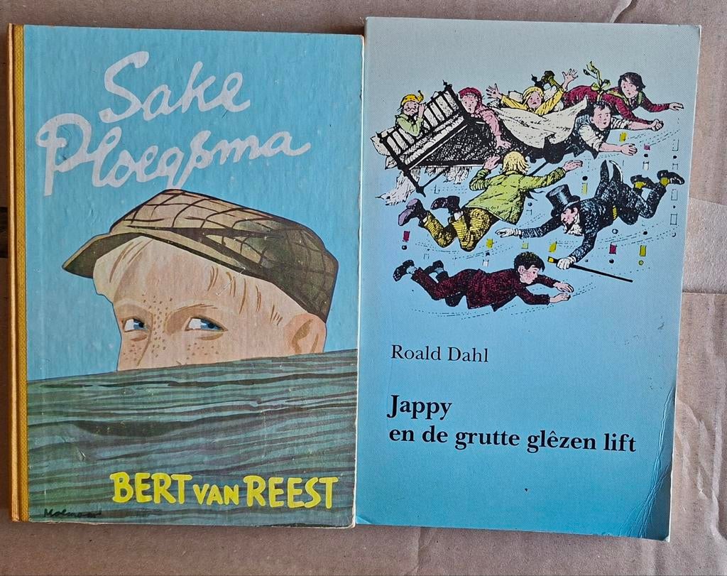 Boeken fries, Ophalen of Verzenden, Zo goed als nieuw