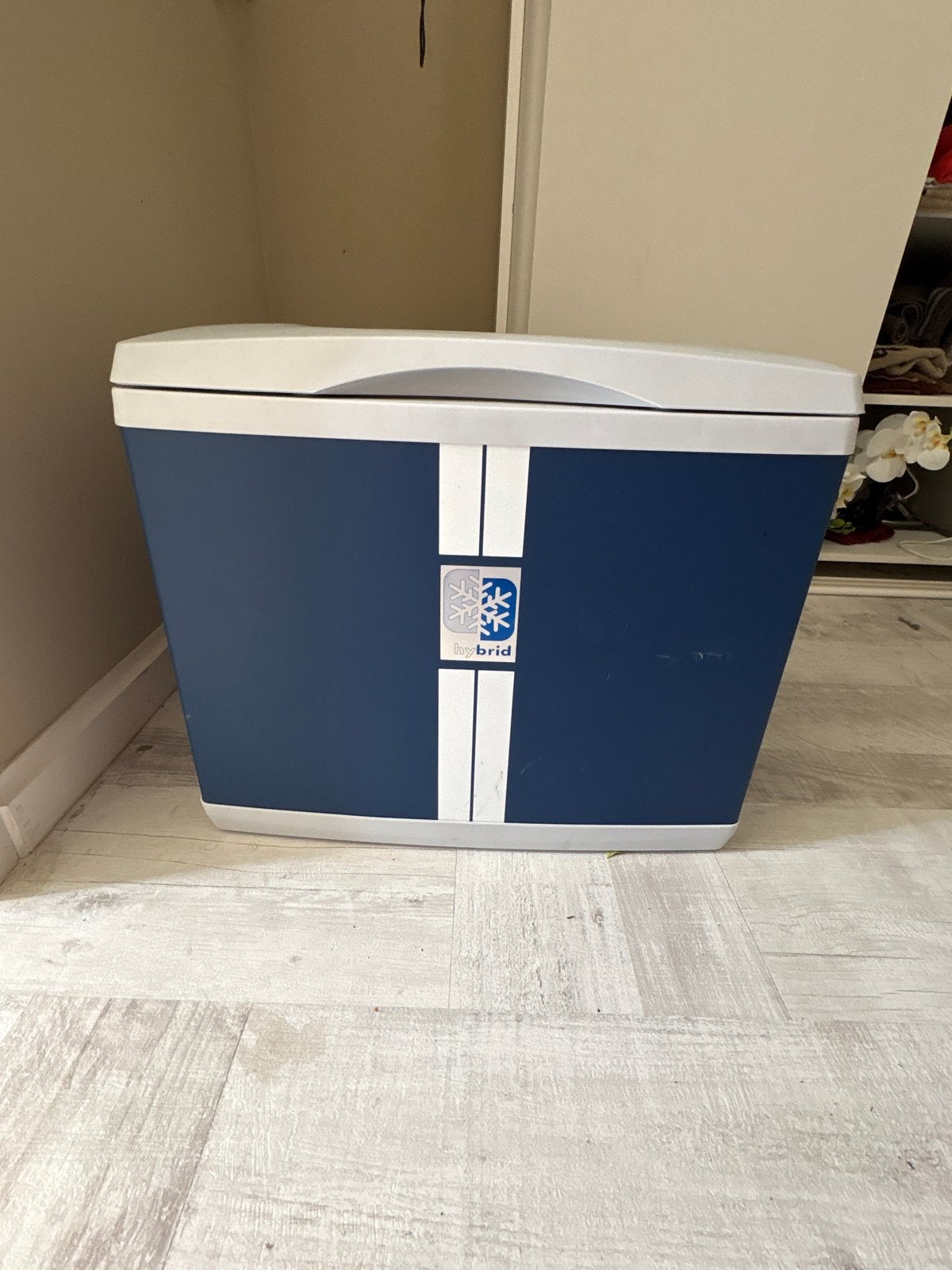 Elektrische Koelbox en friezer hybrid, Caravans en Kamperen, Ophalen, Gebruikt, Koelbox, Elektrisch