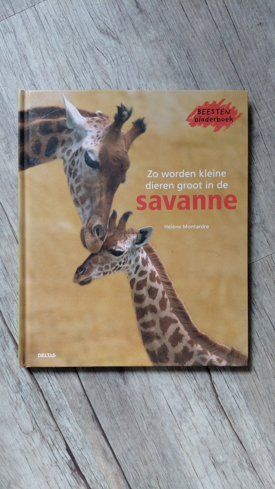 Zo worden kleine dieren groot in de savanne Montardr, Gelezen, Hélène Montardre, Non-fictie, Jongen of Meisje
