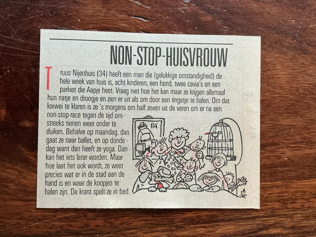 Karikatuur Dik Bruynesteyn Non Stop Huisvrouw krantenartikel, Ophalen of Verzenden, Knipsel(s)