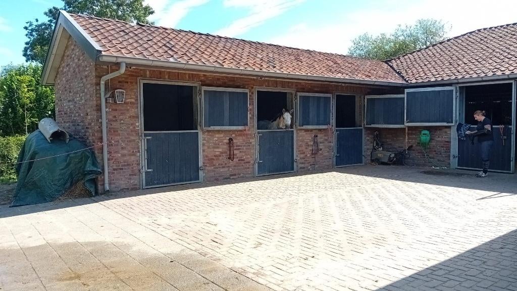 meerdere paardenboxen €280 per maand, Dieren en Toebehoren, Stalling en Weidegang, Weidegang, 4 paarden of pony's of meer