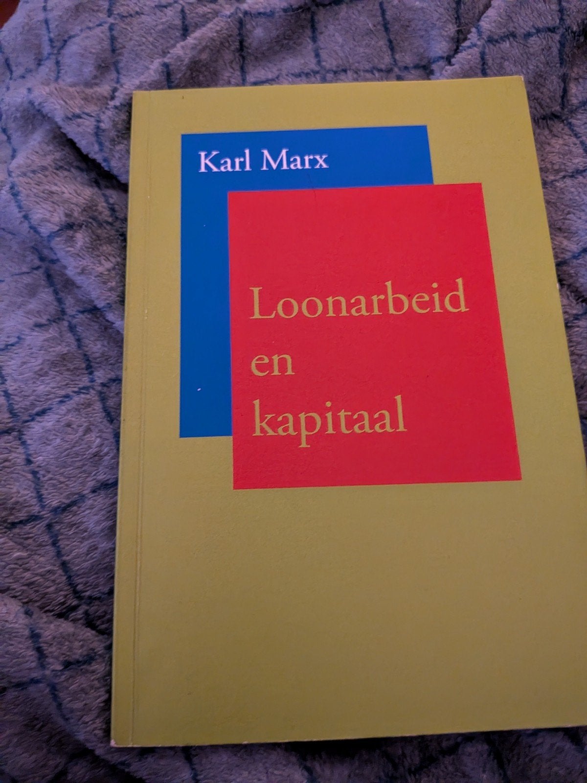 Marx - Loonarbeid en kapitaal, Ophalen of Verzenden, Zo goed als nieuw, Economie en Marketing, Marx