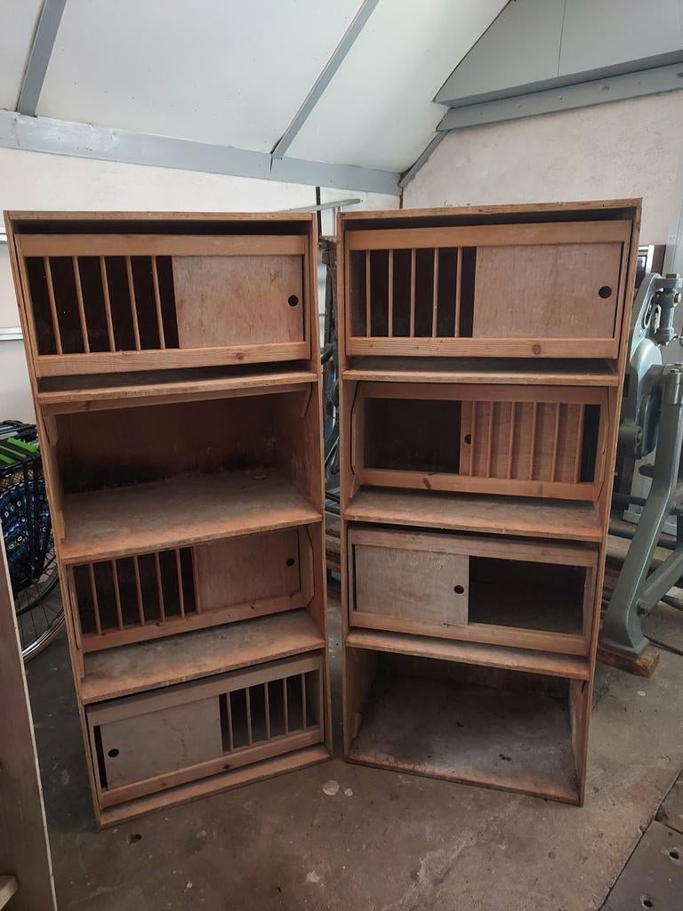 2 broedbakken 4 hoog, Dieren en Toebehoren, Vogels | Duiven, Vrouwelijk, Postduif