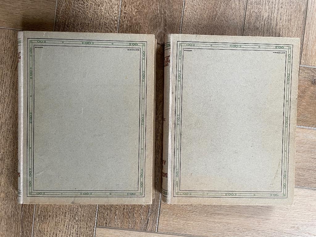 1919 De Schatten der aarde / Mooie set! Zoethout P0543, Ophalen of Verzenden, Ets, 1900 - 1949