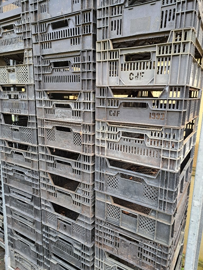 Partij 100x Veenmankisten (40x60x15 cm) – €350, Ophalen, Kunststof, Zo goed als nieuw, Tuincentrum en kwekerij de Triemen