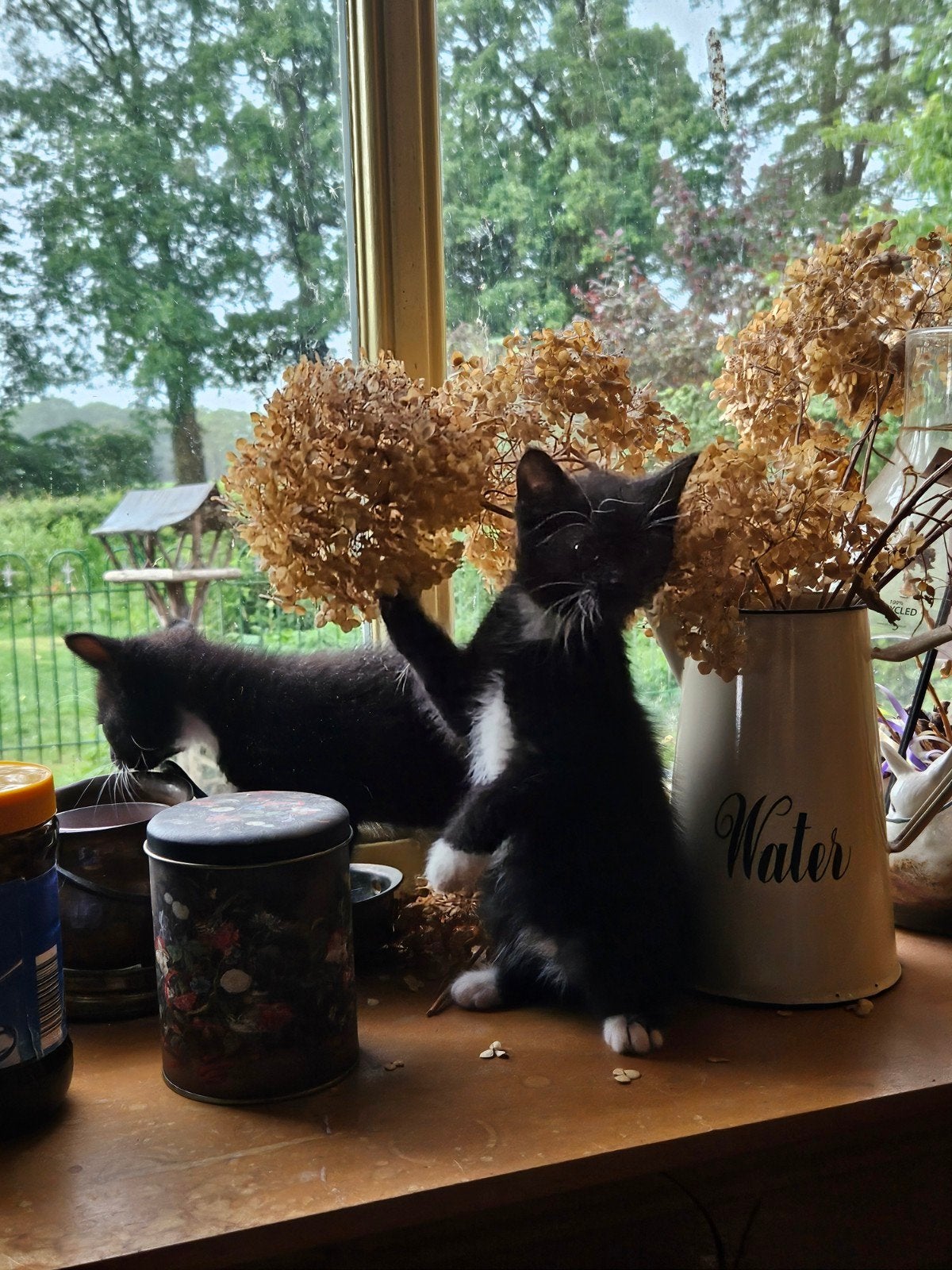 Wegens annulering nog 1 schattige kitten te koop, Dieren en Toebehoren, Meerdere dieren, Ontwormd