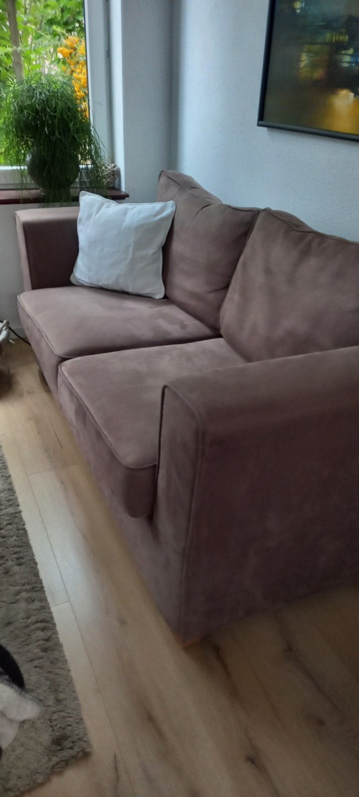 2 a 3 personen bank, Ophalen, 150 tot 200 cm, Driepersoons, 75 tot 100 cm