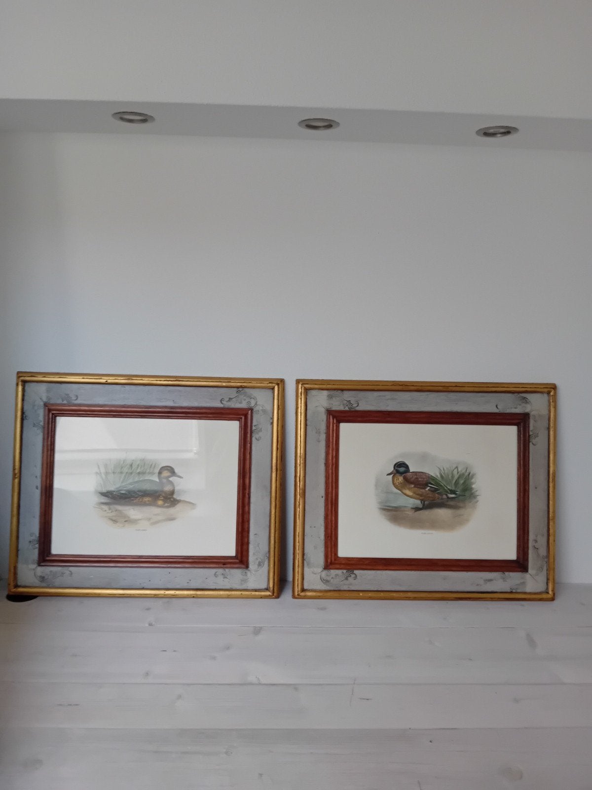 Set van 2 ingelijste eenden prenten - 58x49 cm, Ophalen, Dieren, Klassiek, Print