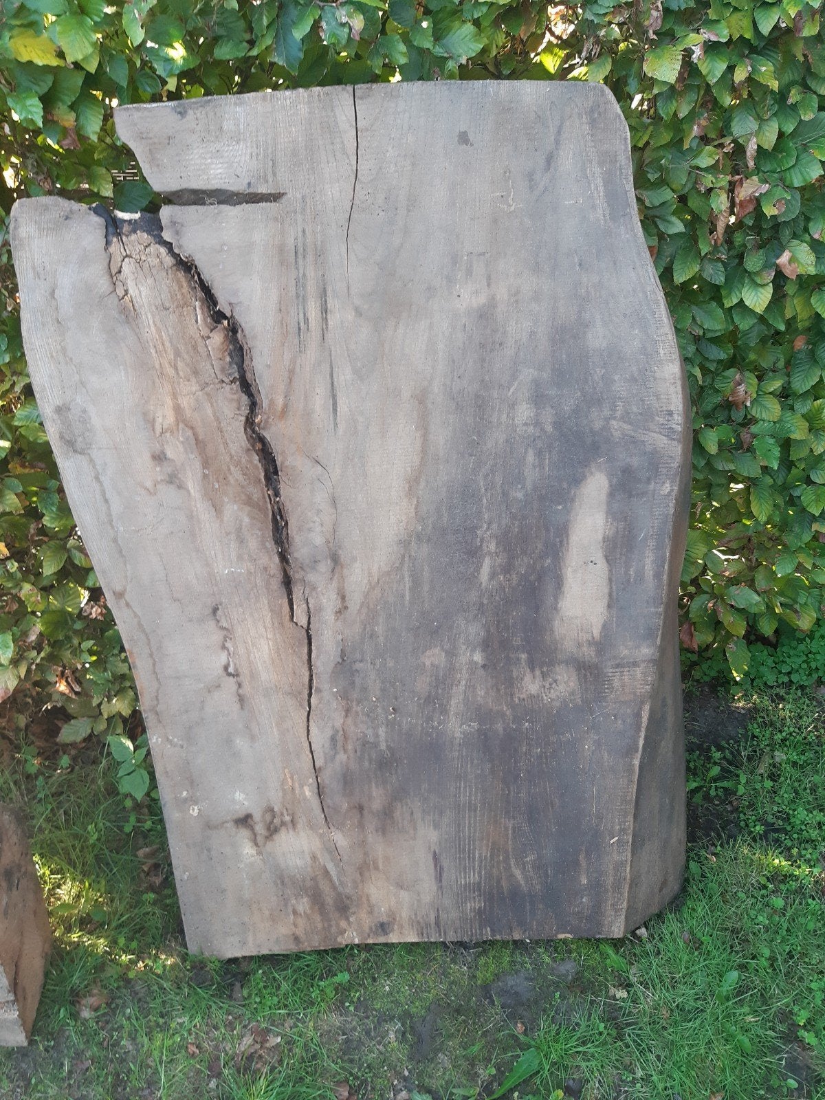 Boomstamtafel maken, houten planken en balken, Ophalen, Gebruikt, 50 mm of meer, Balk