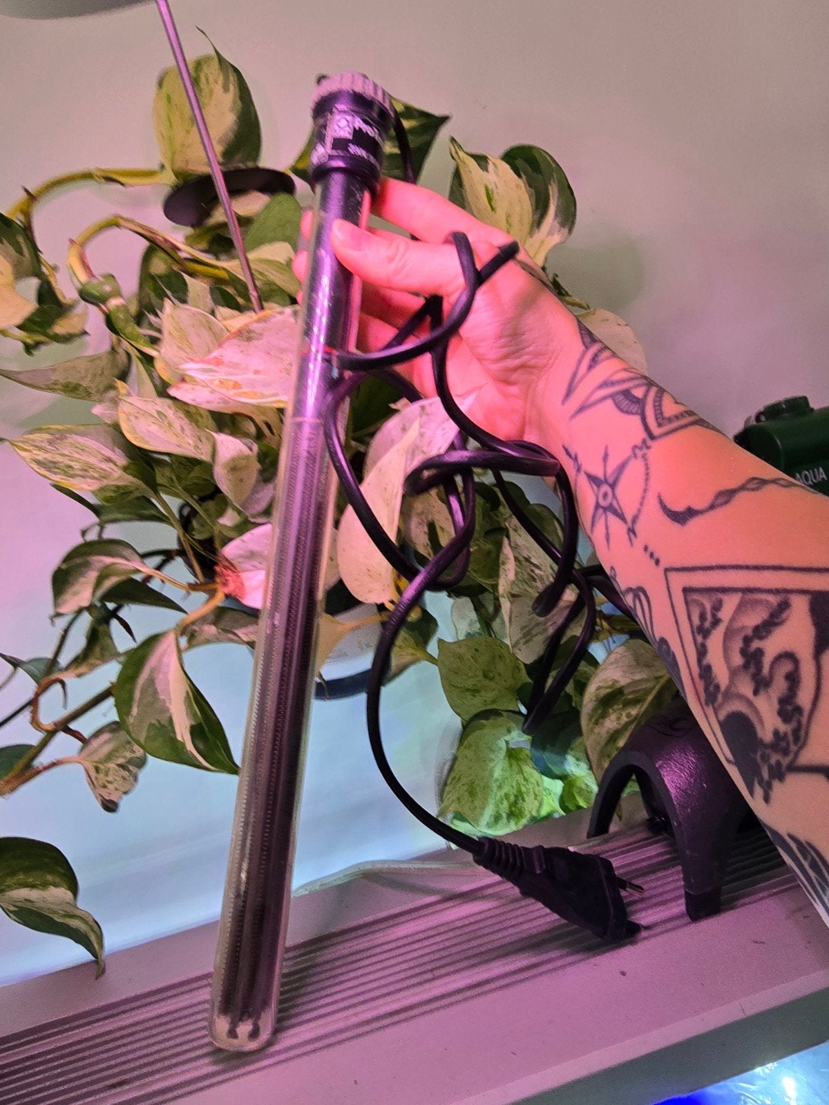 Verwarmings element van jbl voor aquarium, Ophalen