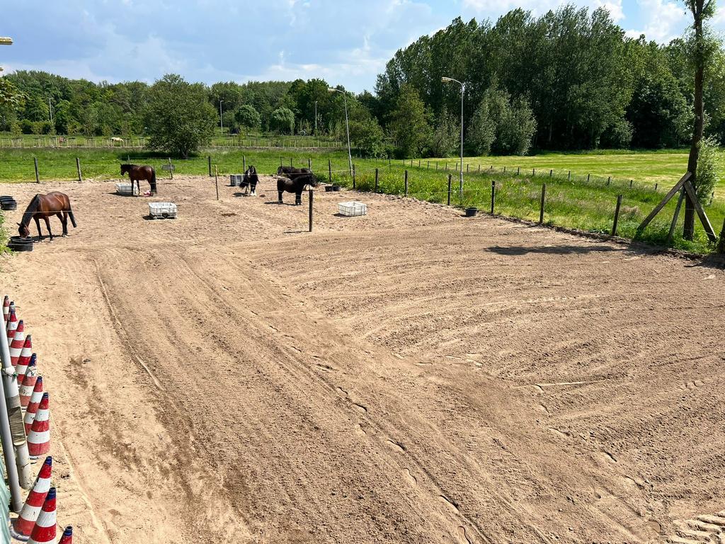 Paarden stalling en uitloop stallen, Dieren en Toebehoren, Stalling en Weidegang, Stalling
