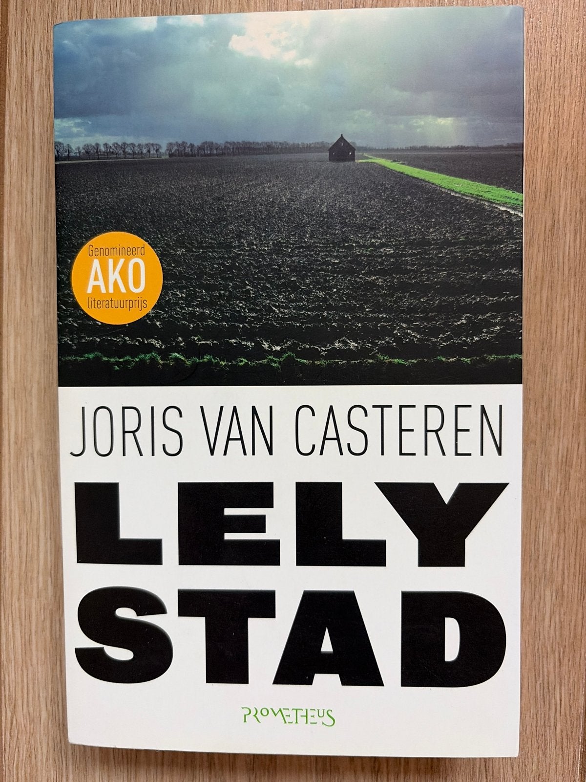 Joris van Casteren - Lelystad, Boeken, Overige Boeken, Zo goed als nieuw, Ophalen of Verzenden