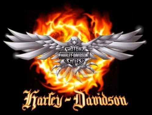 Werkplaatshandboeken voor bijna elke Harley-Davidson, Motoren, Ophalen of Verzenden, Harley-Davidson of Buell