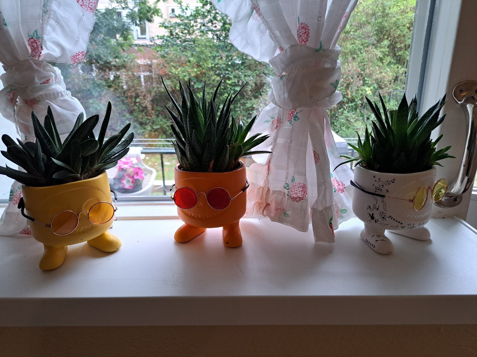 3 leuke potjes met echte plantjes.., Ophalen, Rond, Aardewerk, Minder dan 40 cm