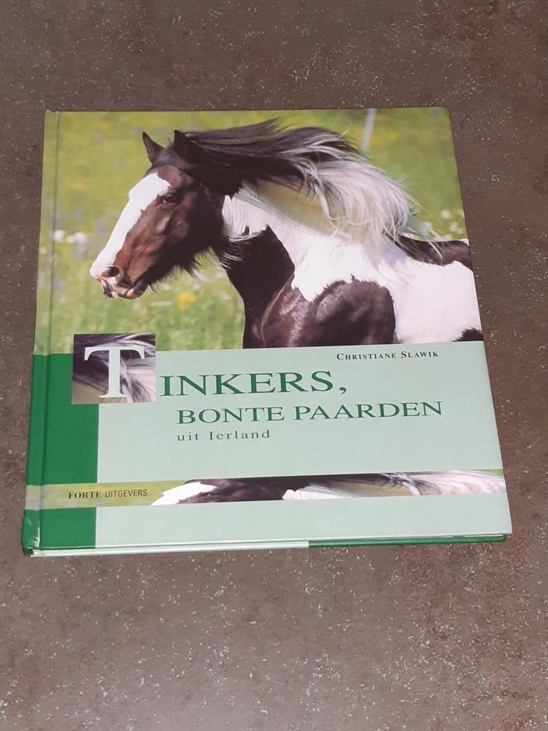 Tinkers bonte paarden uit Ierland, Ophalen of Verzenden, Zo goed als nieuw, Katten