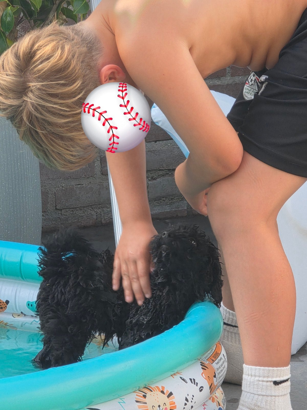 nog 1 super lief maltipoo teefje, Overige rassen, 8 tot 15 weken, Teef, Eén hond
