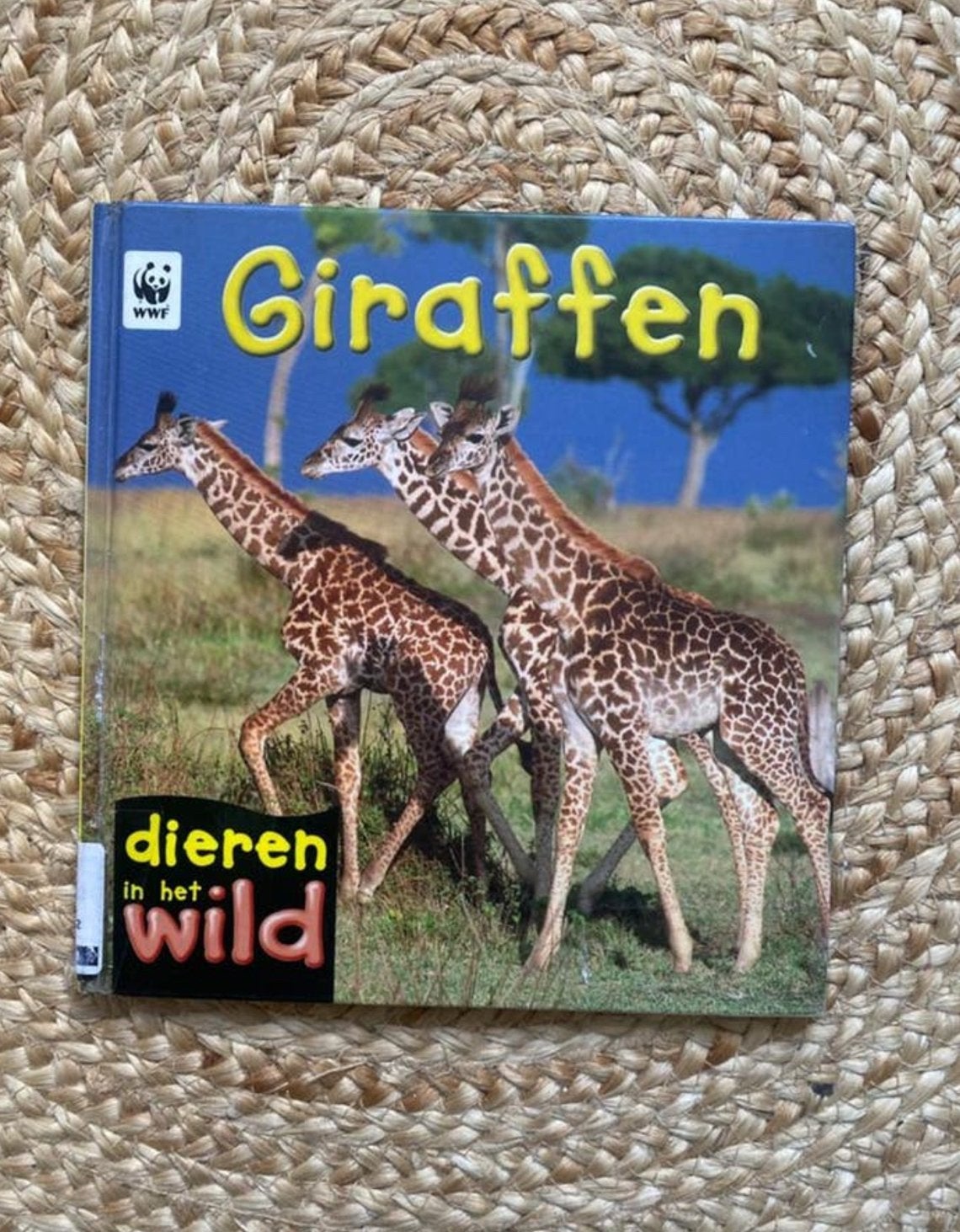 Informatief kinderboek over de giraf, Ophalen of Verzenden, Gelezen, Overige diersoorten