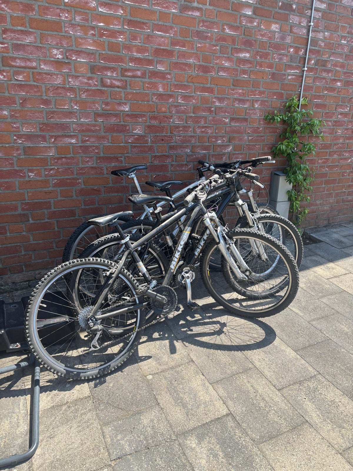 Partij fietsen, onderdelen, banden, voorvorken en takel, Ophalen of Verzenden, Gebruikt, Overige typen