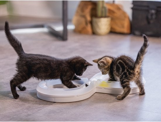 Speelgoed, Dieren en Toebehoren, Verzenden, Nieuw, Speelrails