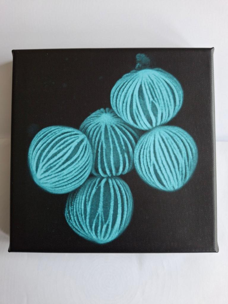 Microscopische opname stuifmeel Lepelplant, canvas 20x20 cm, Ophalen of Verzenden