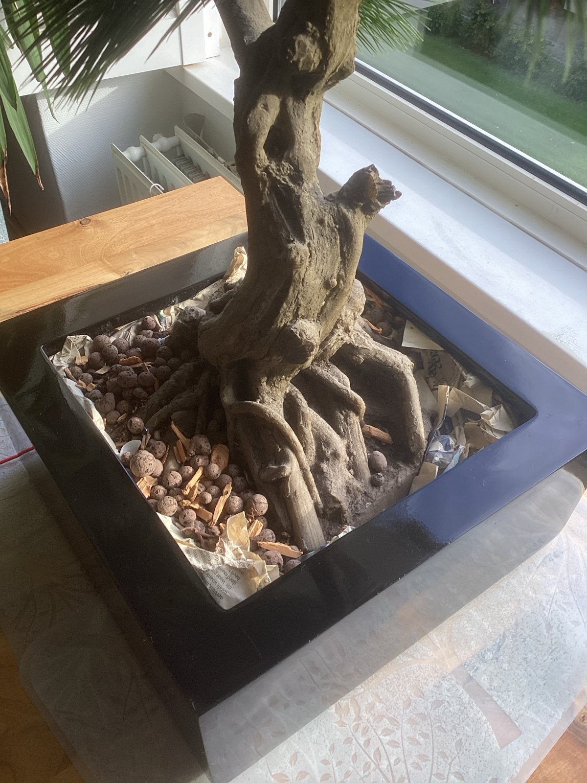 MAXIFLEUR Kunst Bonsai Groen 71 cm met Zwarte Pot, Ophalen, Binnen, Kunstplant, Overige merken