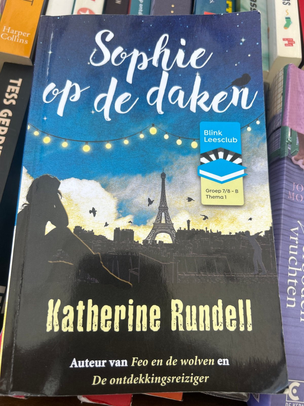 Sophie op de daken - Katherine Rundell (Blink Leesclub), Boeken, Ophalen of Verzenden, Zo goed als nieuw, Fictie