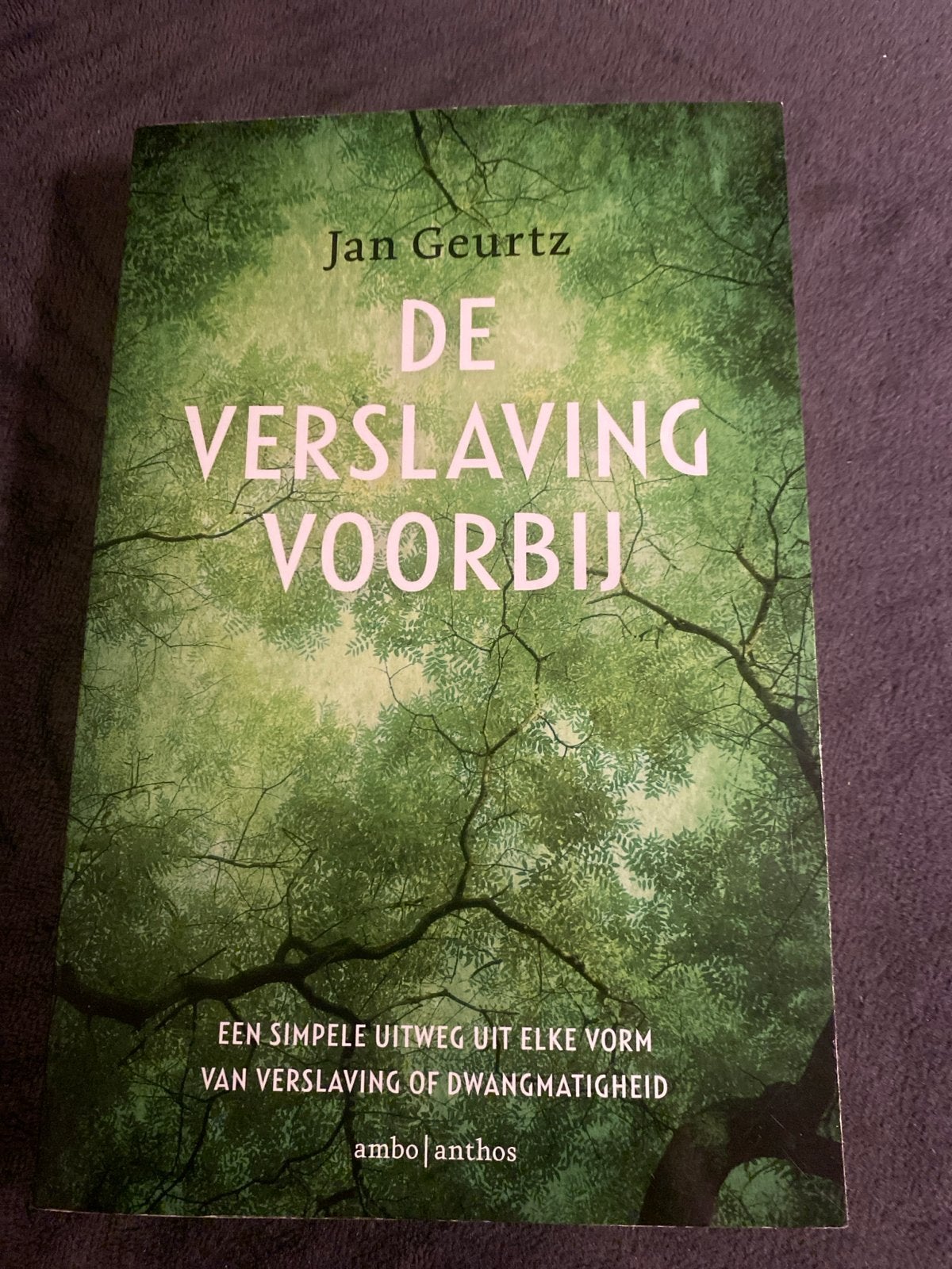 De Verslaving Voorbij - Jan Geurtz (Zo goed als nieuw), Boeken, Ophalen of Verzenden, Zo goed als nieuw