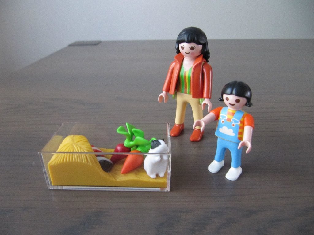 Playmobil - 4348 - cavia's met terrarium, Ophalen of Verzenden, Zo goed als nieuw, Complete set