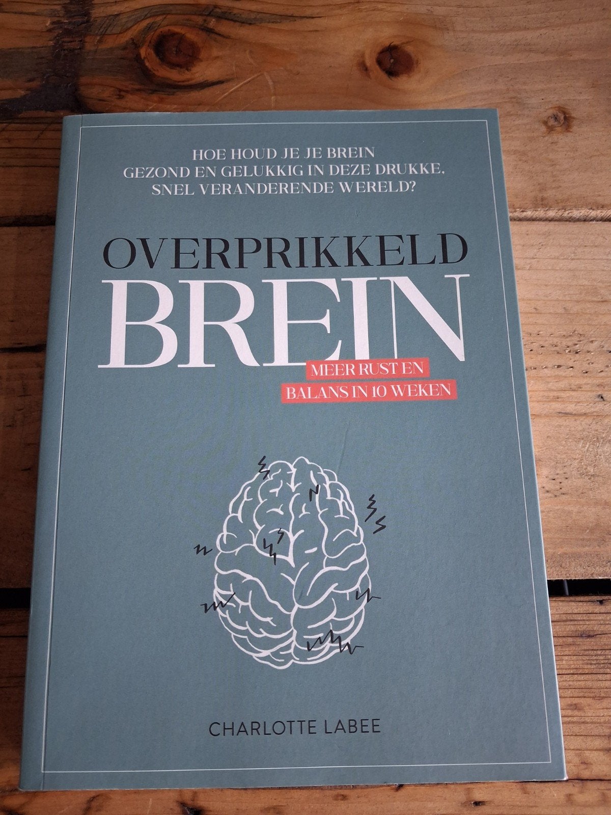 Overprikkeld Brein: Meer rust en balans in 10 weken, Ophalen of Verzenden, Gelezen, Gezondheid en Conditie, Charlotte Labee