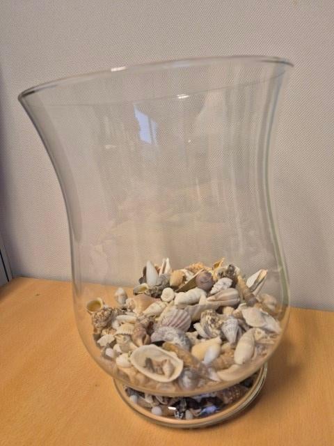 Glazen stolp met of zonder schelpen, Huis en Inrichting, Woonaccessoires | Stolpen, Ophalen, Nieuw