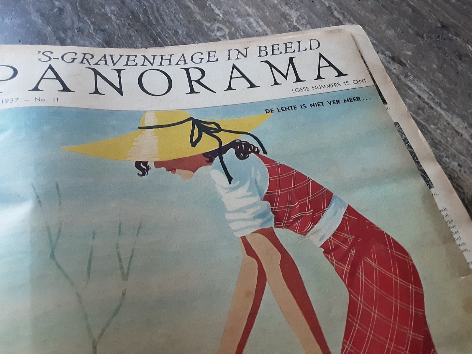 panorama's, Boeken, Ophalen, Gelezen