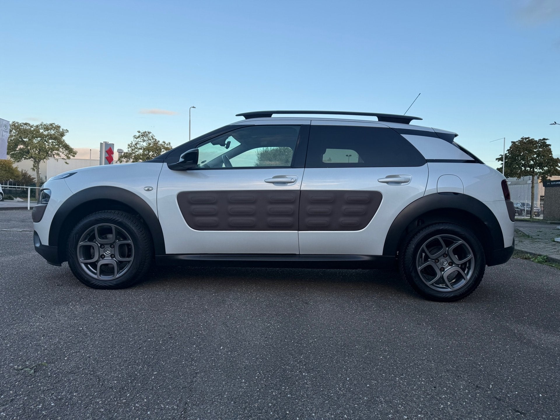 Citroen C4 Cactus 1.2 PureTech Shine I Camera I Cruise contr, Voorwielaandrijving, Euro 5, Stof, Gebruikt