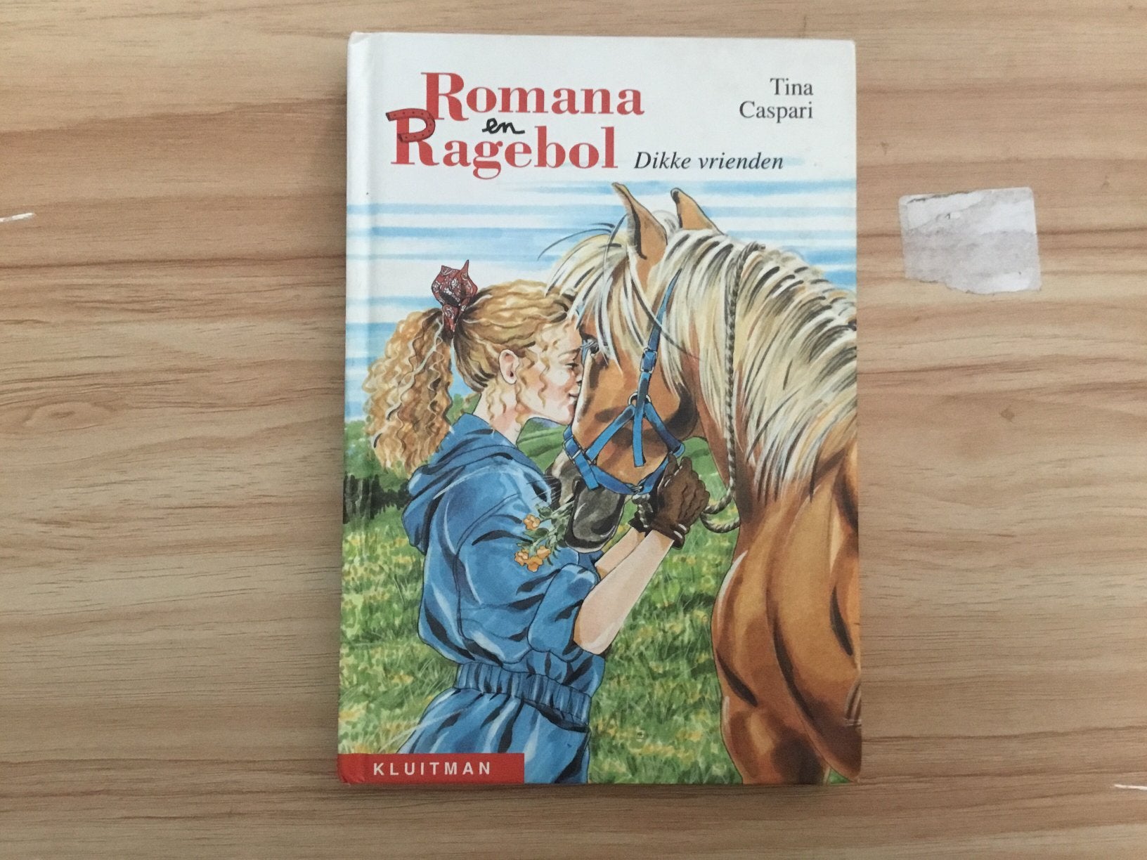 Romana & ragebol dikke vrienden, Boeken, Ophalen of Verzenden, Zo goed als nieuw