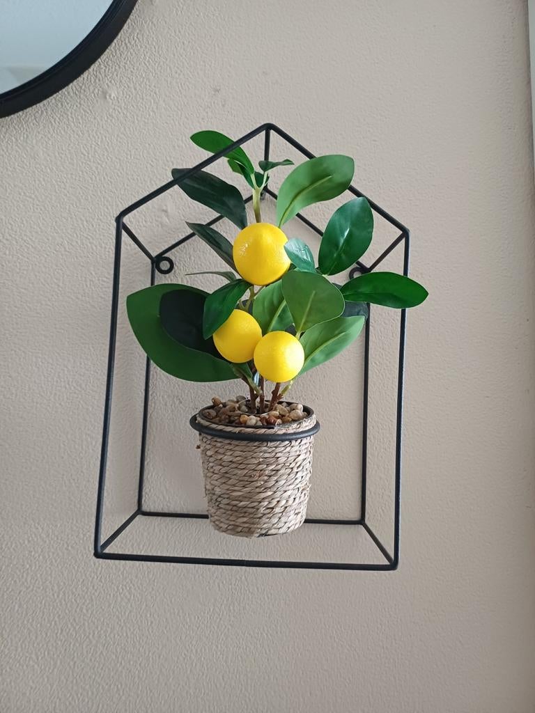 Decoratie citroenplantje in metalen houder, Ophalen of Verzenden, Nieuw