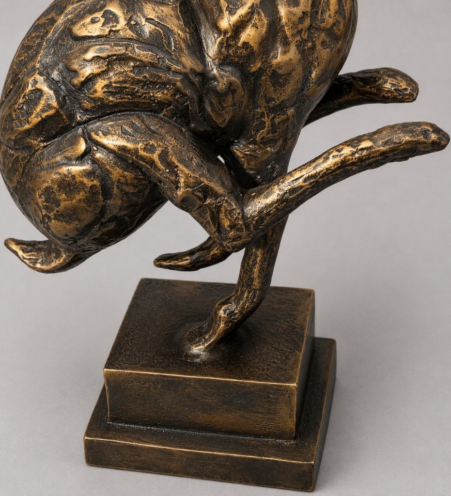 HAAS / bronzen tuinbeeld, Nieuw, Info@huisentuindecoratiemarie.nl, Huis en tuin decoratie marie, Dierenbeeld