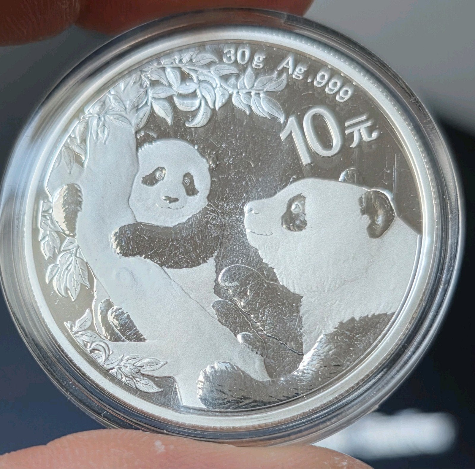 Panda 2021 China, Verzenden, Zilver