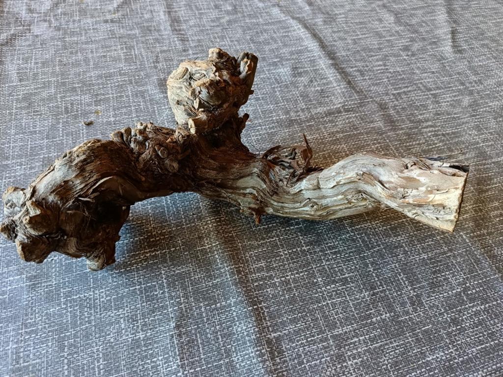 Hout voor in terrarium, Ophalen of Verzenden