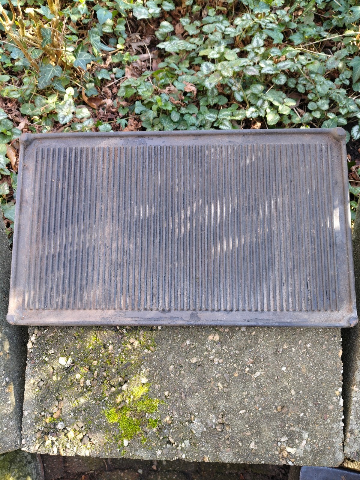 Gietijzeren grillplaat, barbeque, vlees grillen, tuin/terras, Ophalen of Verzenden