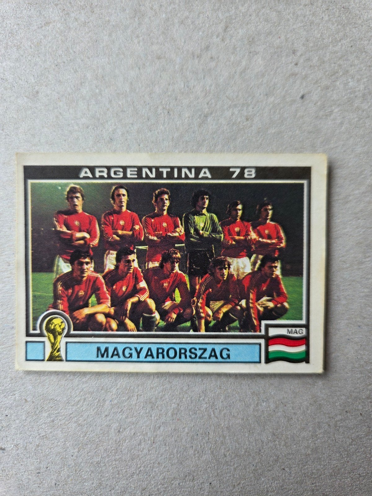 Panini WK 78, Ophalen of Verzenden, Zo goed als nieuw, Sticker