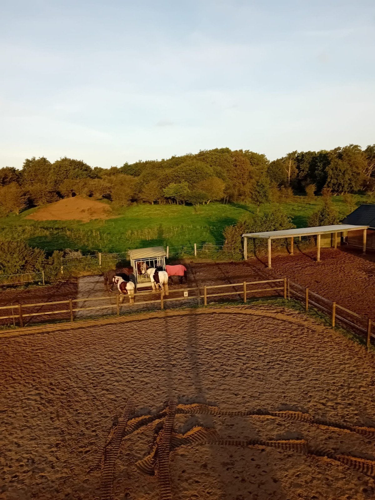 Paddockparadise Heemskerk 50 mtr vanaf duiningang, Dieren en Toebehoren