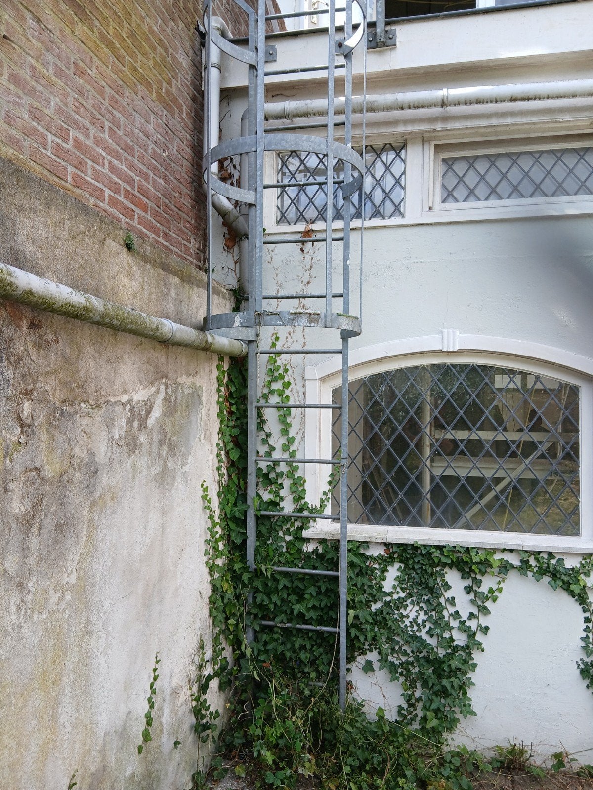 Gegalvaniseerde brandladder met kooi, Ophalen, Gebruikt, Trap, 4 meter of meer