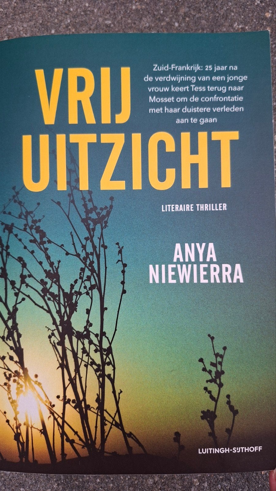 Vrij Uitzicht - Literaire Thriller van Anya Niewierra, Ophalen of Verzenden, Zo goed als nieuw, Anya Niewierra, Europa overig