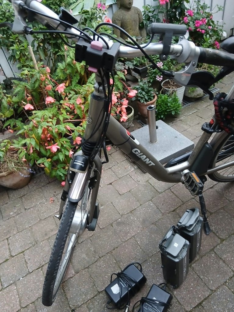 Foto 6 van fiets Giant Twist