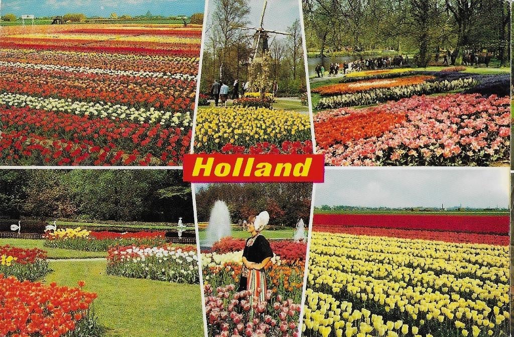 Ch694 Gelopen ansichtkaart holland, Ophalen of Verzenden, 1980 tot heden, Gelopen, Noord-Holland