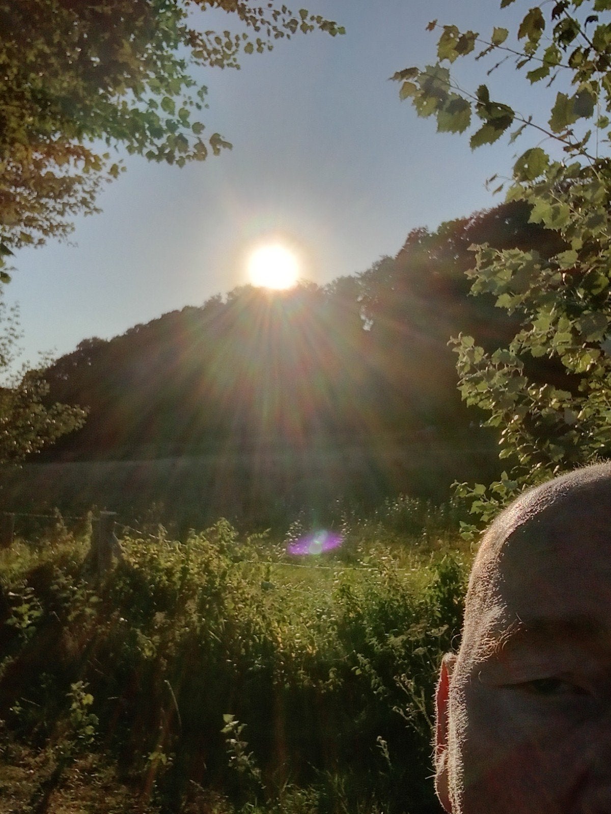 Zon verduistering, Ophalen of Verzenden, Foto, Fotografie, Origineel