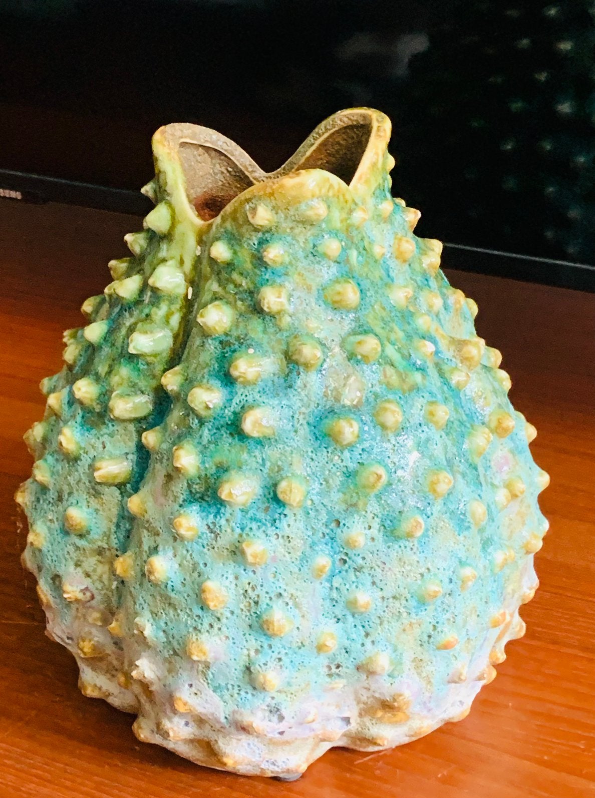 Daan Kromhout "urchin" vaas, Huis en Inrichting, Woonaccessoires | Vazen, Overige kleuren, Ophalen of Verzenden, Minder dan 50 cm
