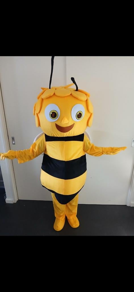 Mascotte pak bij, te huur of te koop (150-175 cm), Ophalen of Verzenden, Gebruikt, Pak of Jurk