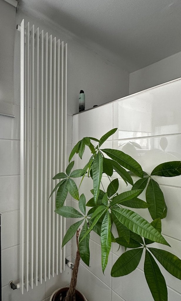 radiatoren, Ophalen, 30 tot 80 cm, Gebruikt, Radiator